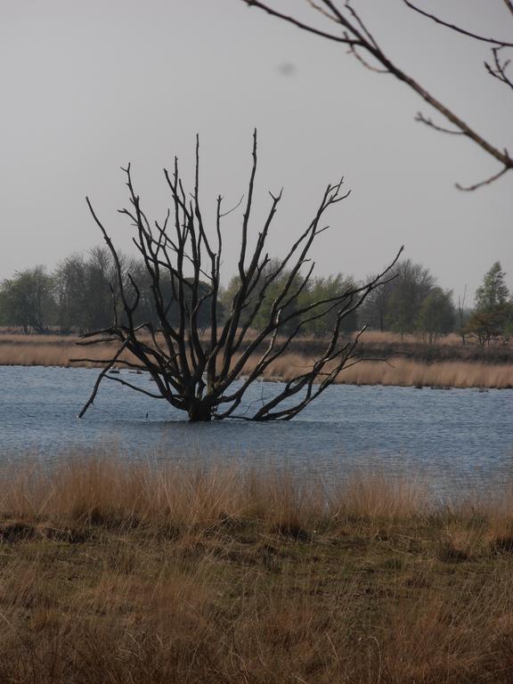 Gezond Boeren Verstand Dalerveen Exterior foto