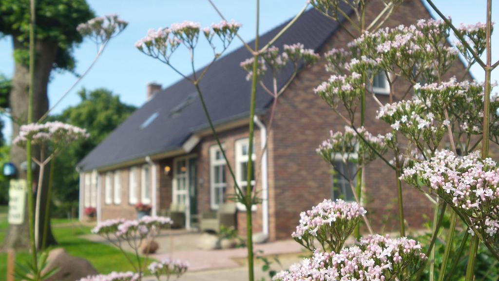 Gezond Boeren Verstand Dalerveen Exterior foto